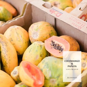 【50ml】ココマンゴーパパイヤ フレグランスオイル (Cocomango Papaya)