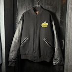 USA製 GAME WWE WRESTLE MANIAスタジャン プロレス