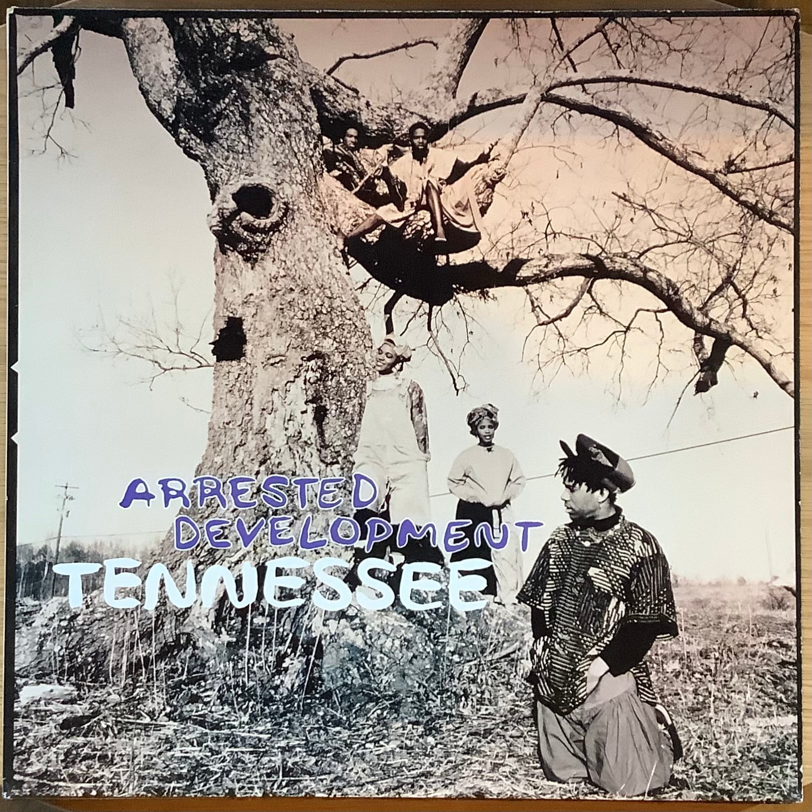 ARRESTED DEVELOPMENT TENNESSEE Plastic Soul Records 