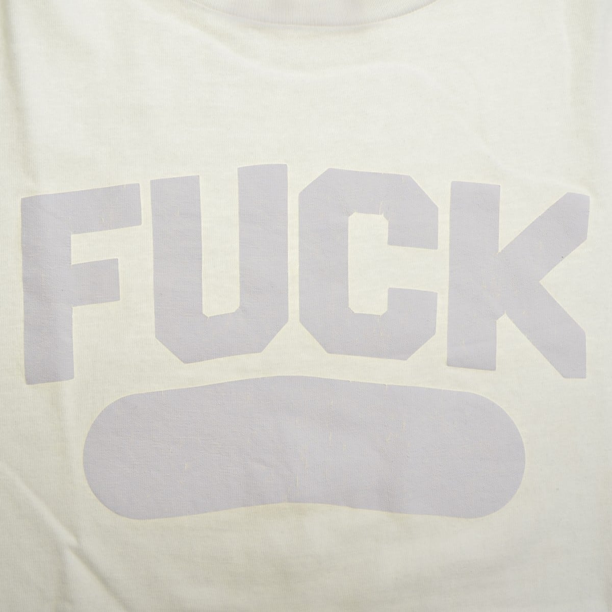 EC ELECTRIC COTTAGE fuck TEE チャンピオンボディL