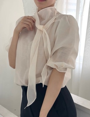Sheer Ribbon Blouse
