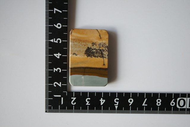 チェリークリーク・ジャスパー　Cherry Creek Jasper 833