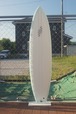 Gaudy fish 6'10 Twin+1：6'10-19 1/16-2 5/8 (208.3-48.42-6.67)