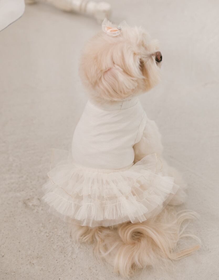 予約【malrang】Satine tutu dress (Ivory)