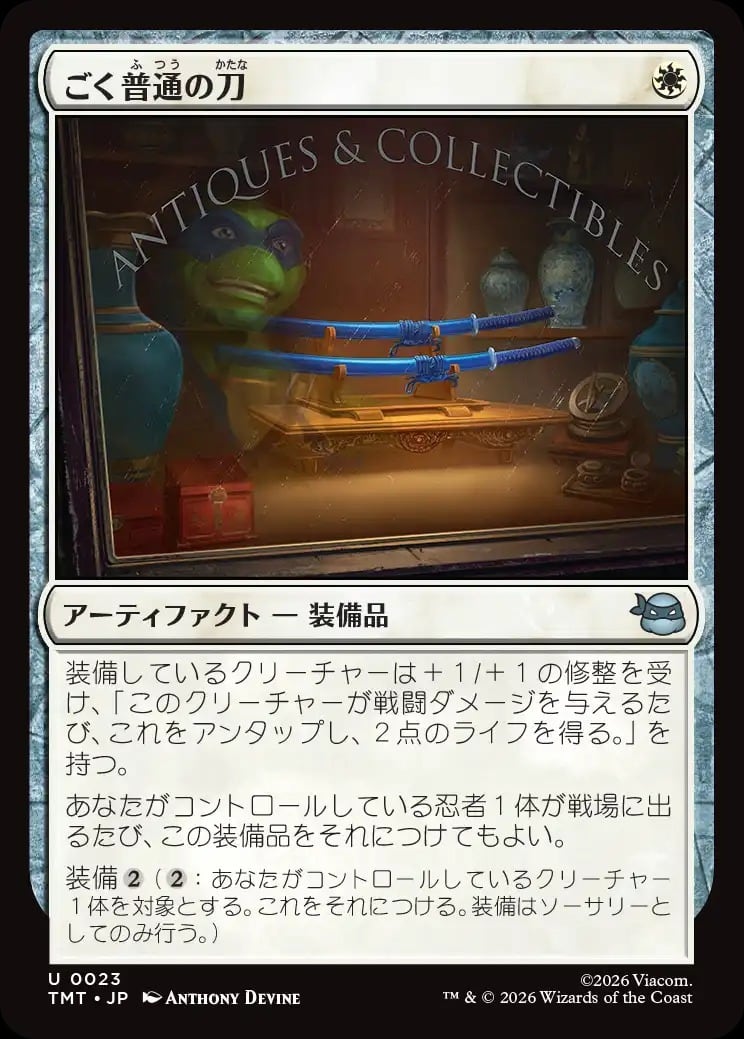 22mm】クワガタのような大顎を有したキバサビハネカクシ 標本