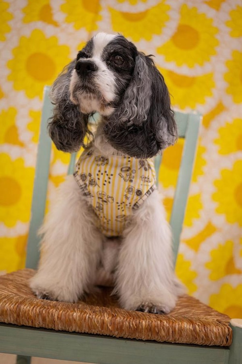 カフェBreak. 〜本日もぺろり営業中〜（6〜7号）