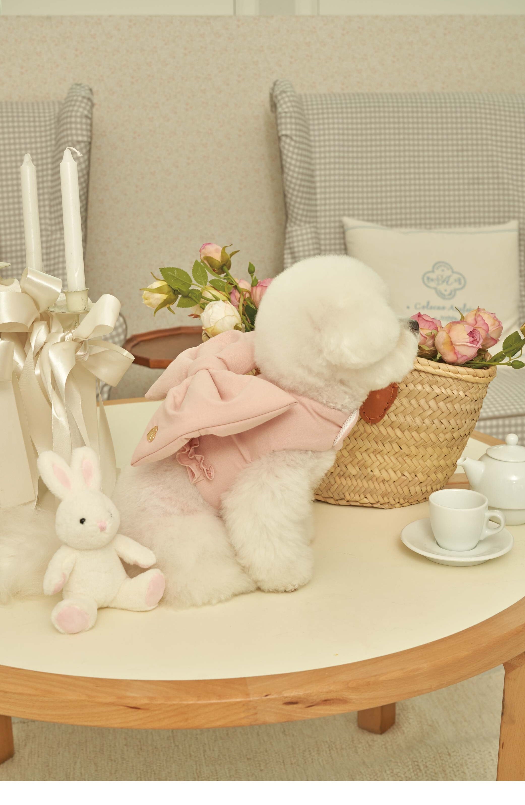 韓国　meaninglessリボンハーネス　犬　2点 3d7f4021b589a95d19f29f52c3dc3a