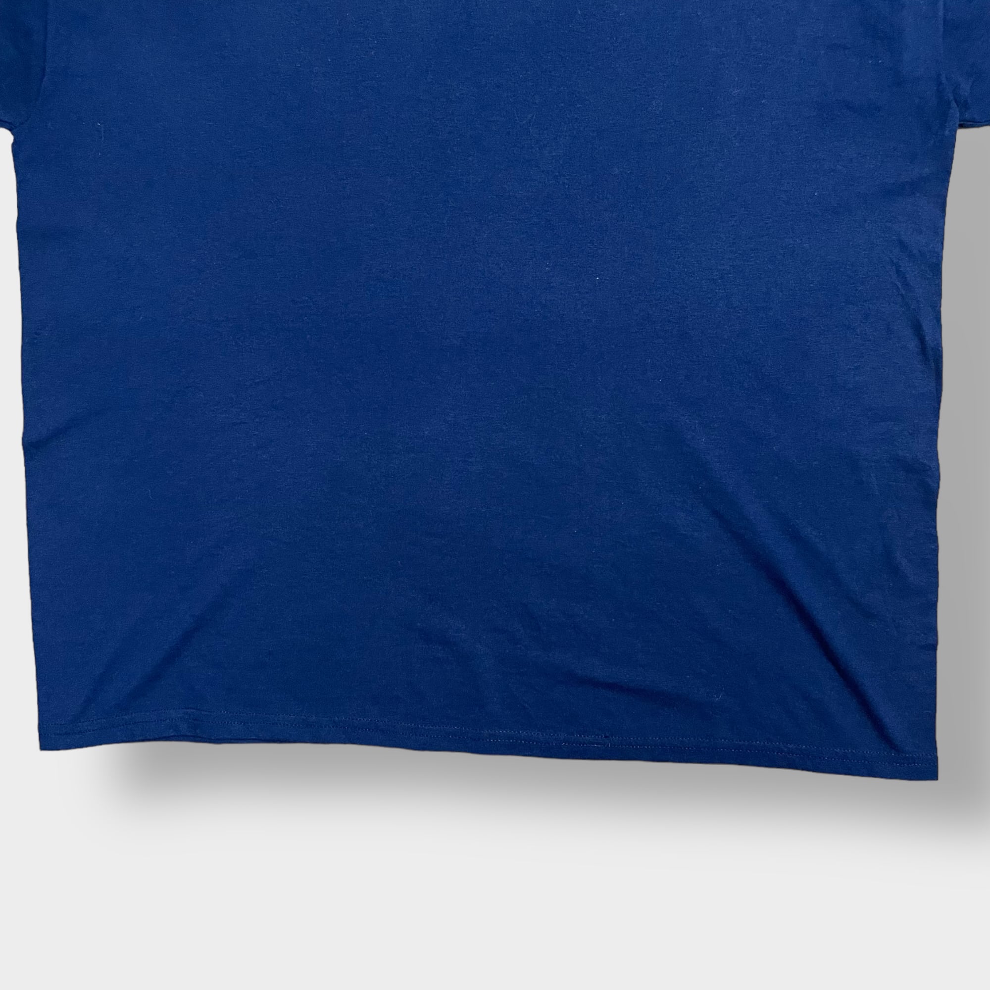 JERZEES】2XL ビッグシルエット イラスト アーチロゴ Tシャツ PARKWOOD