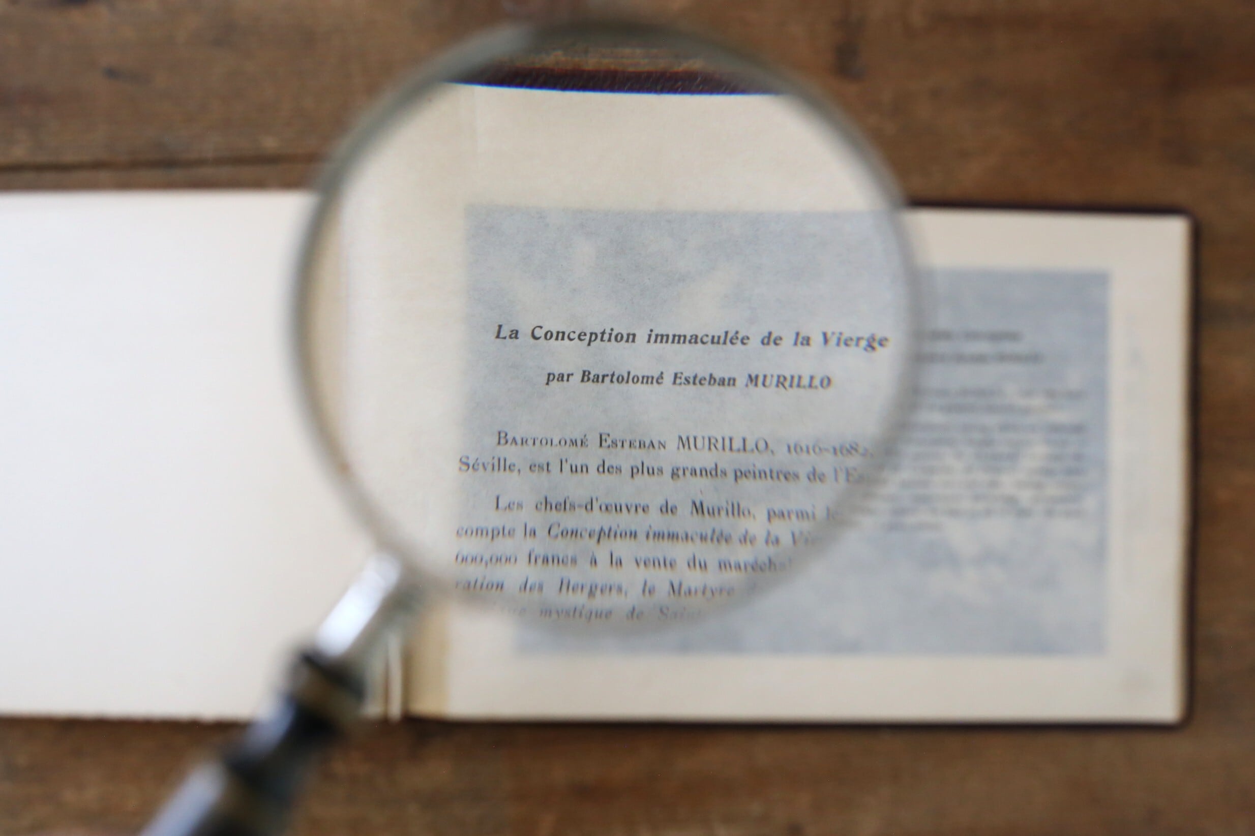 フランス アンティーク ヴィンテージ ルーペ 虫眼鏡 ウッドハンドル