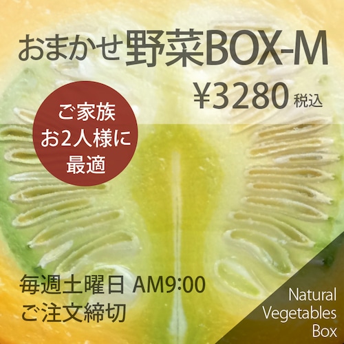 おまかせ野菜BOX - Mサイズ