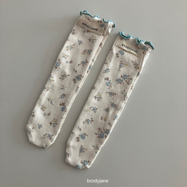 【取寄】brodyjane|pure socks|ピュアソックス|FREE|baby|26 autumn