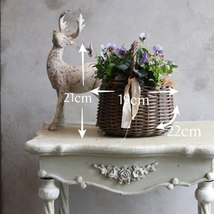 冬から春に楽しむ寄せ植え　ビオラNorthIslandViora北島園芸オリジナルとシックカラーのハボタンのバスケットの寄せ植え　お正月にオススメ　届いてすぐ玄関に飾れる 　プレゼントにもオススメ　