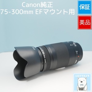 Canon純正 75-300mm EFマウント用 望遠レンズ 美品 シロクマカメラ a7382