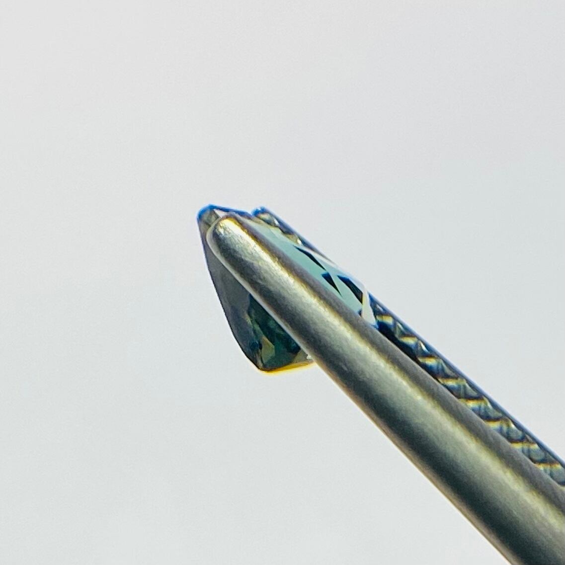 テリテリペアシェイプオレサン10