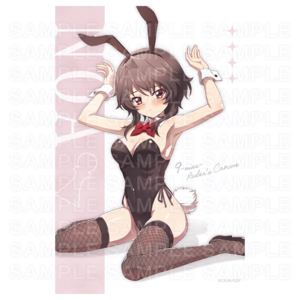 タペストリー -Pin-up Collection-