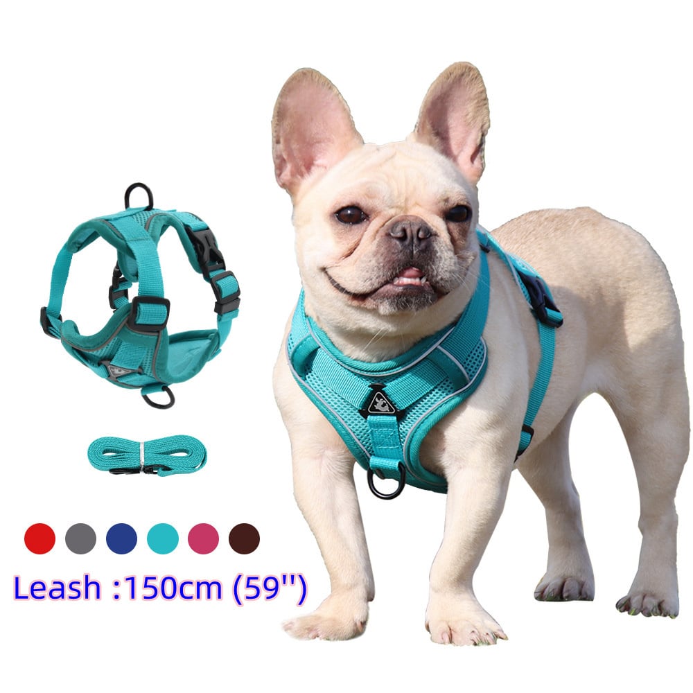 送料無料 ハーネスとリーシュセットペットアクセサリー犬用ハーネス