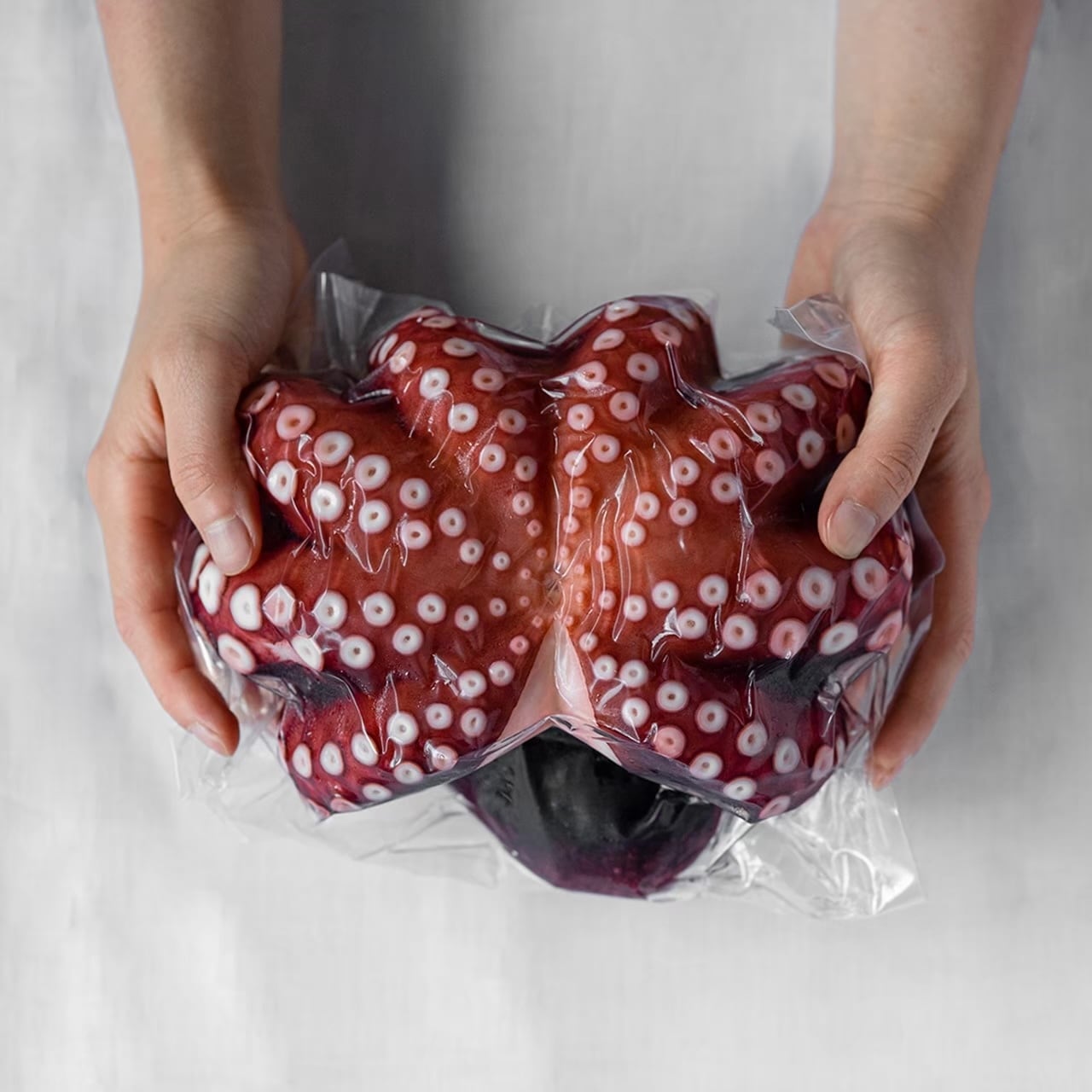 明石だこ(1杯・900g)