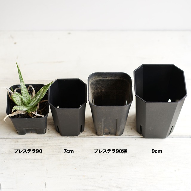 Flat Slit Pot 9cm ブラック 8個セット