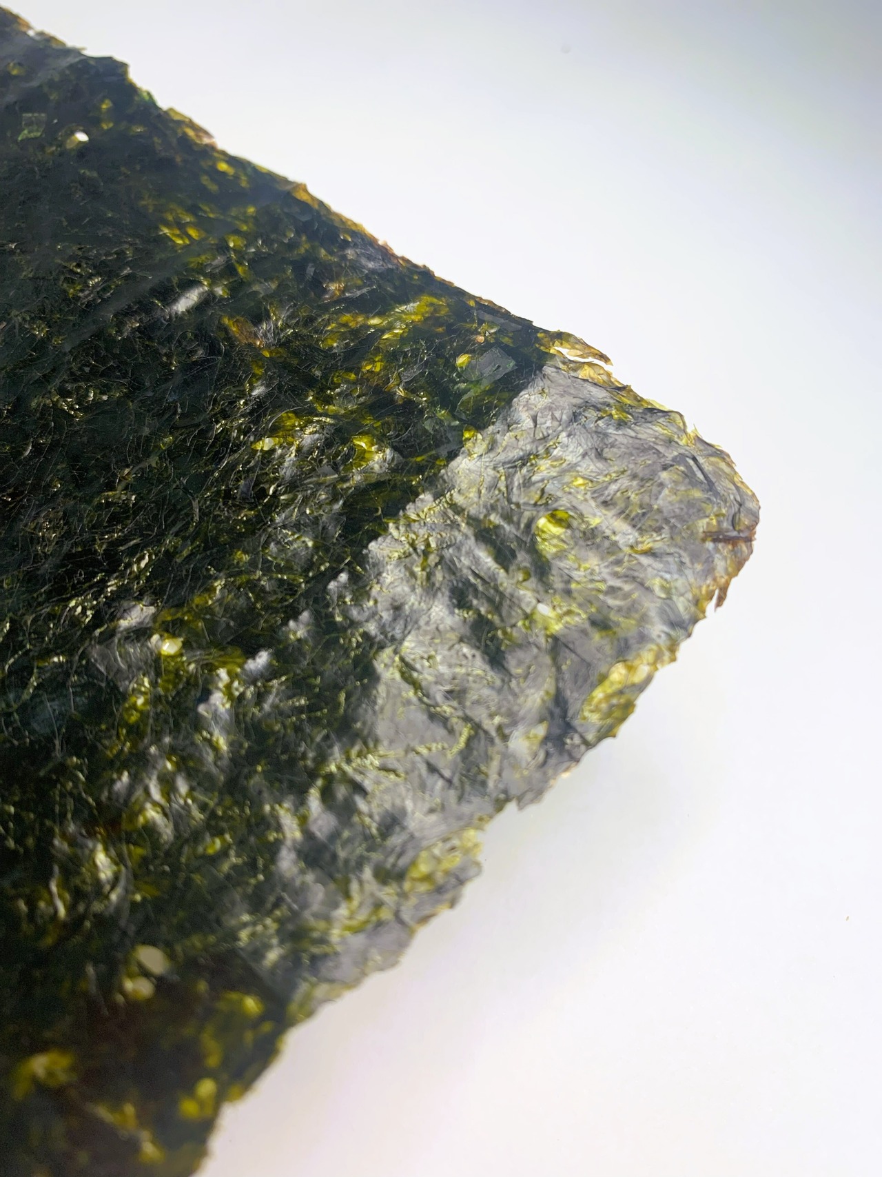 焼き海苔 熊本岱明産「はしり」(全型１５枚入り)