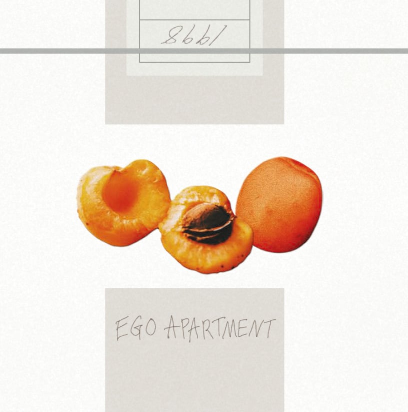 ego apartment / EGO APARTMENT（2LP）