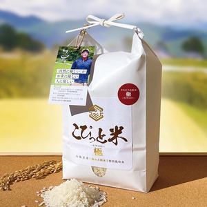 【令和7年産・新米】きわだつ大粒！【極】白米・2kg　特別栽培米　こぴっと米