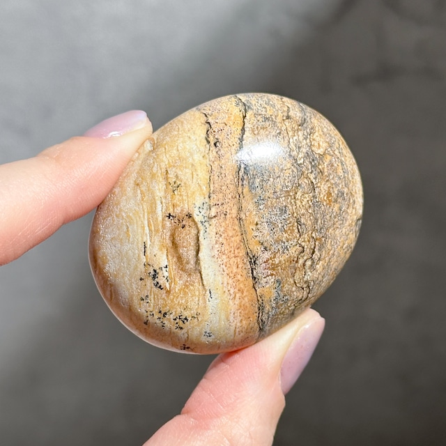 ピクチャージャスパー パームストーン12◇ Picture Jasper ◇ 天然石・鉱物・パワーストーン