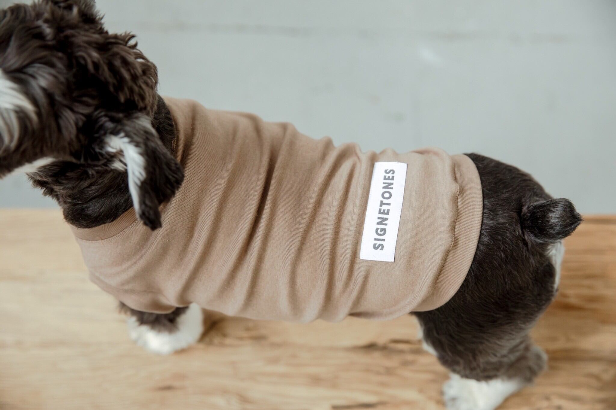 PACK TEE | SIGNETONES