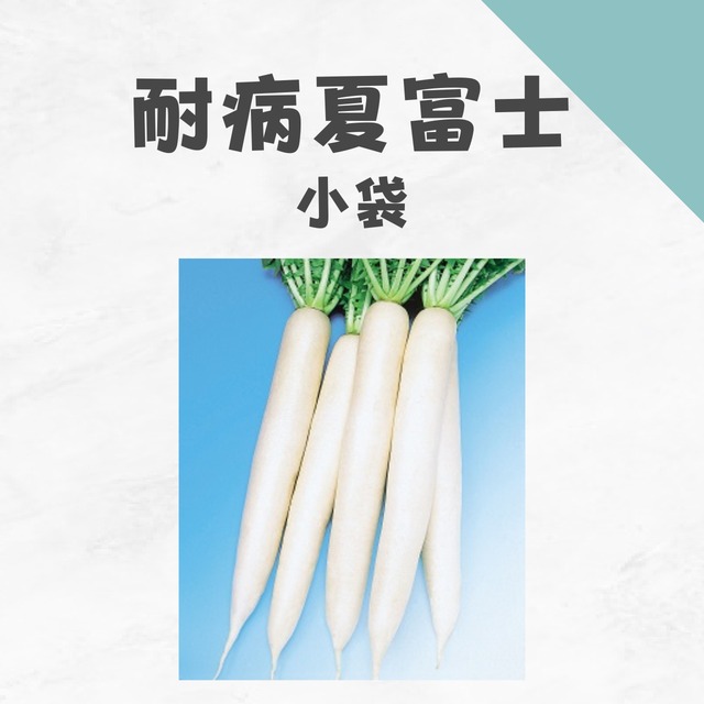 耐病夏富士　ダイコン種子・小袋
