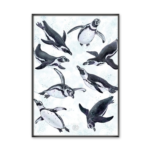 【海のいきものアートポスター／海鳥】マゼランペンギン