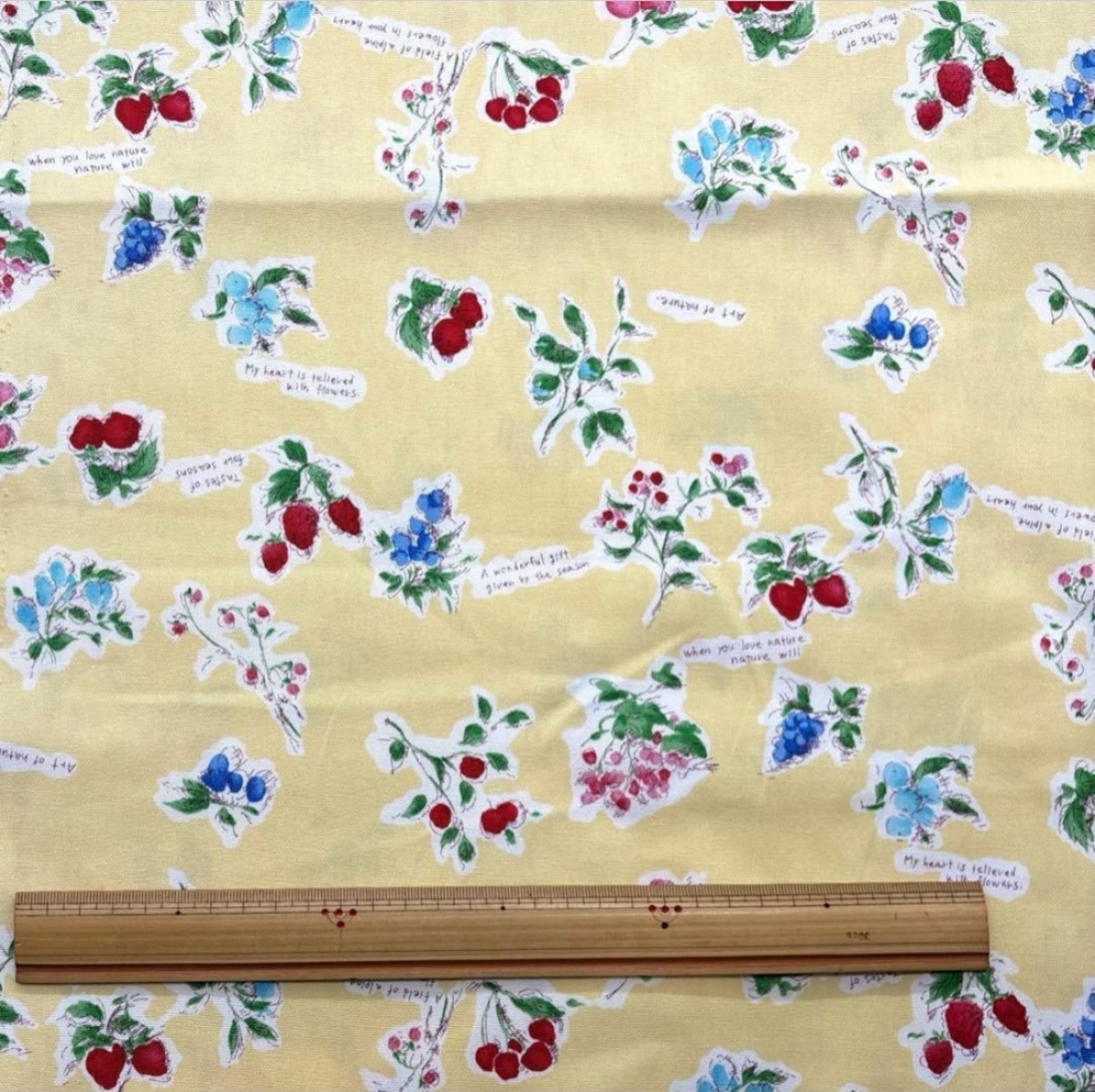 TB889◆2m◆M◆綿100%オックス生地◆YUWA◆