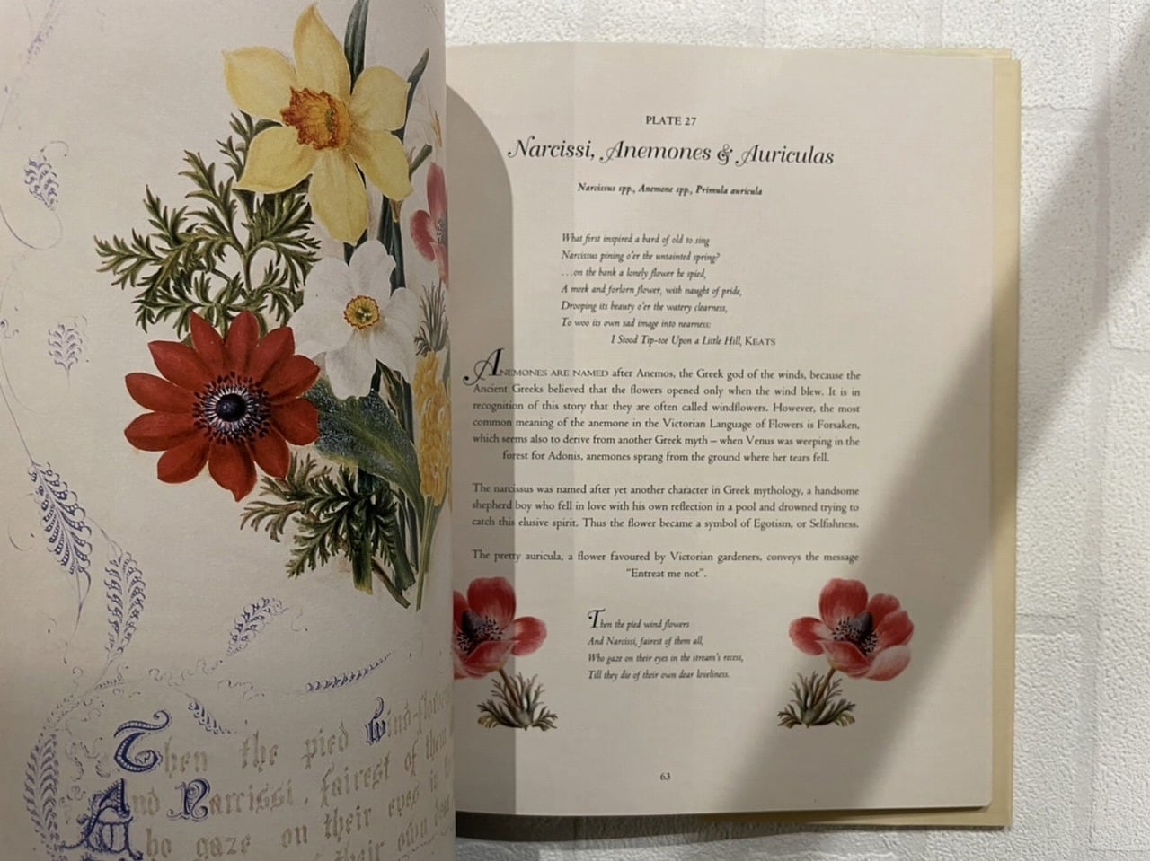VW083】Country Flowers Of A Victorian Lady /visual book | KITAZAWA