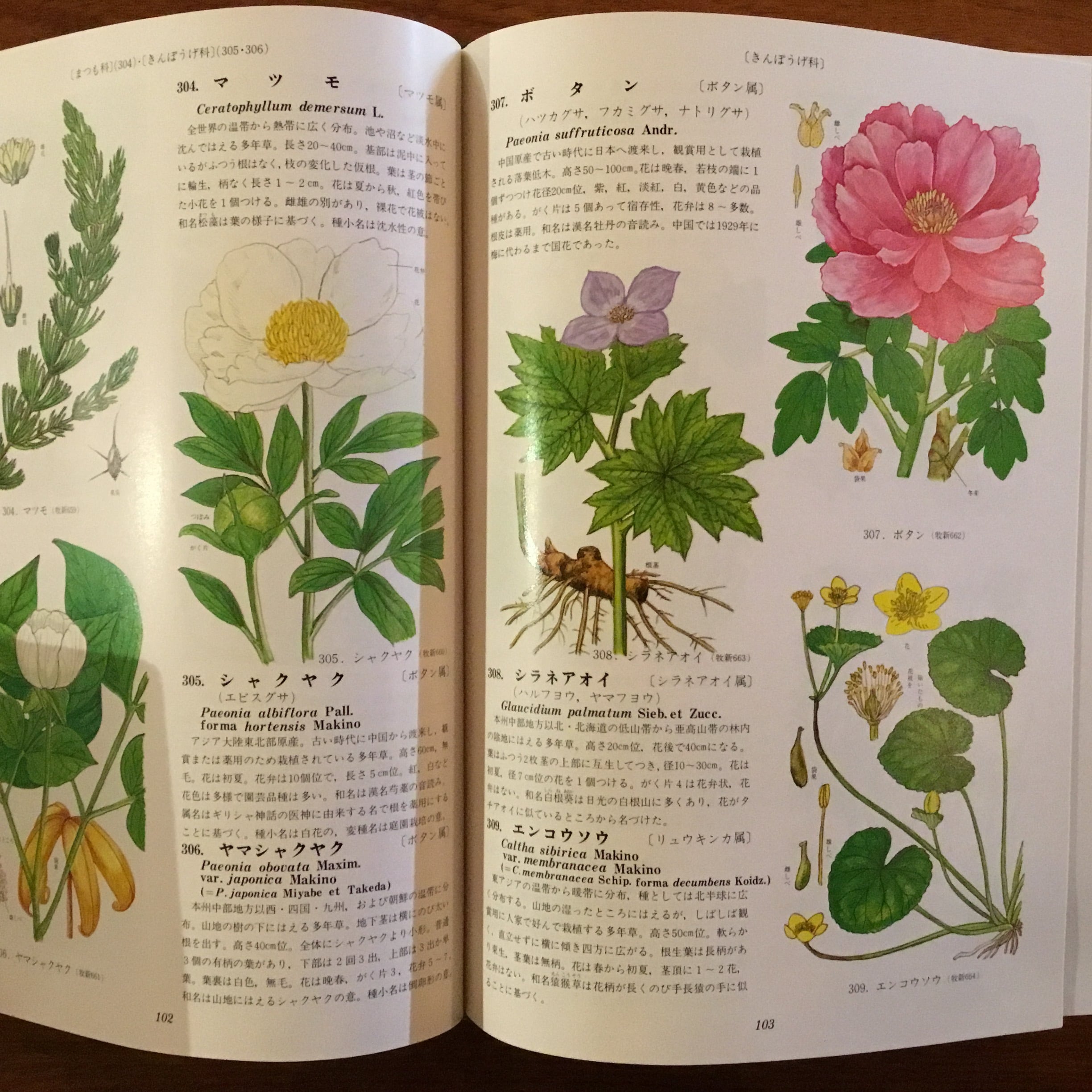 原色牧野植物大図鑑 正編・続編 | Flying Books