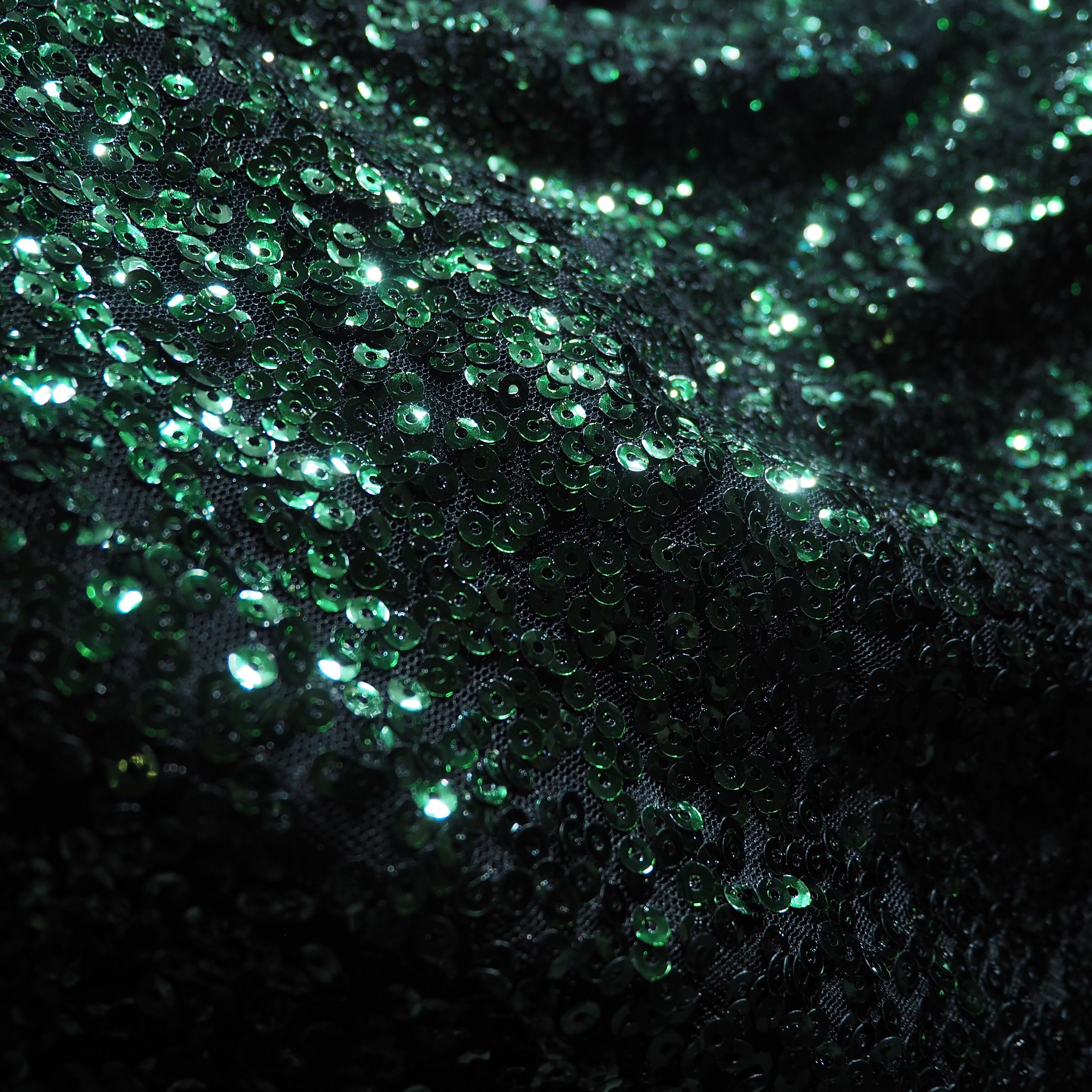 Beautiful Flip sequins Embroidery long sleeve Mock neck