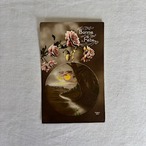 アンティークポストカード　花　彩色カラー　1920-1930年代　使用済み3枚セット 19psa11-3