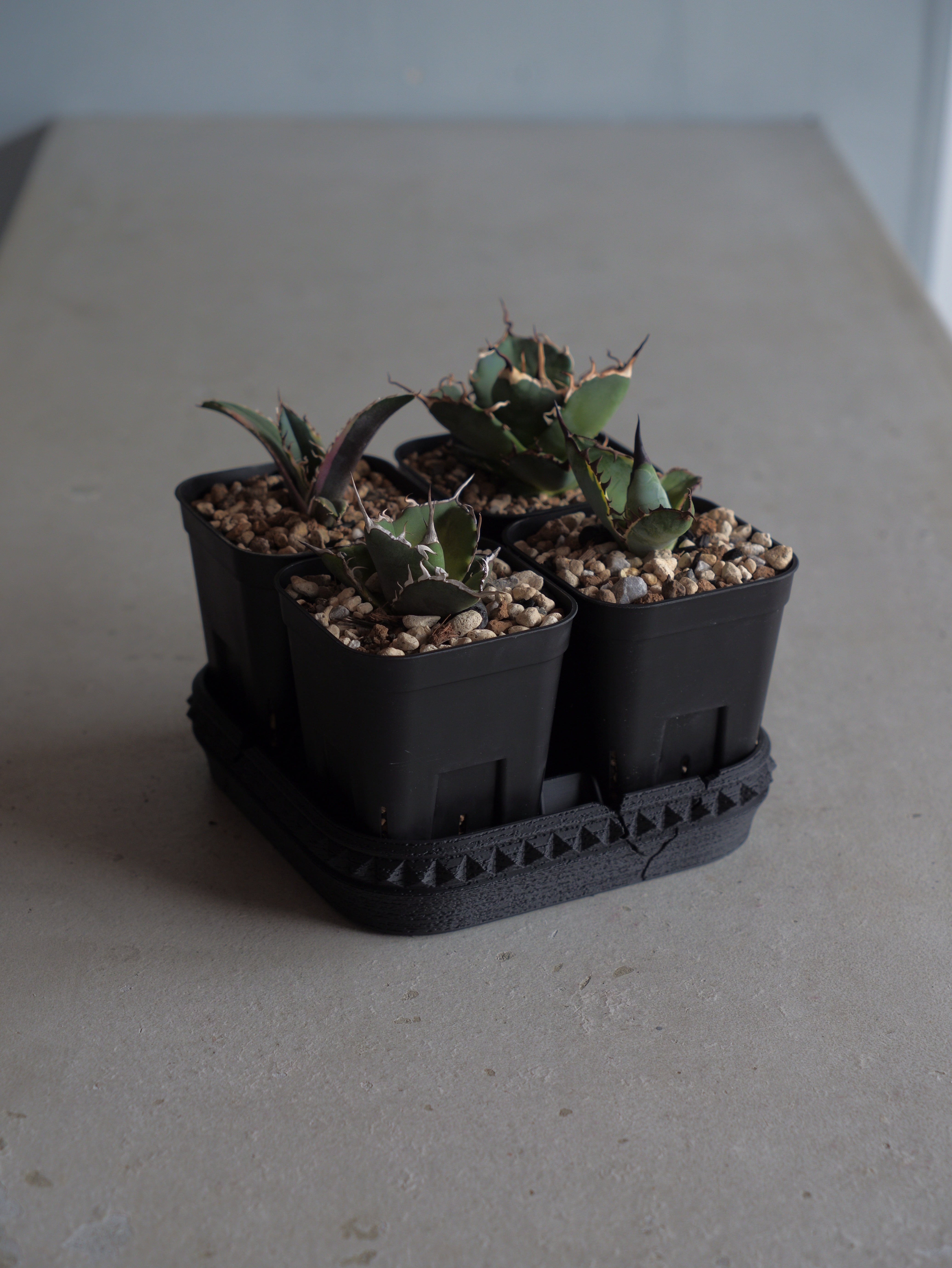 UKEZARA 'SQUARE STUDS' XL | R3LABO