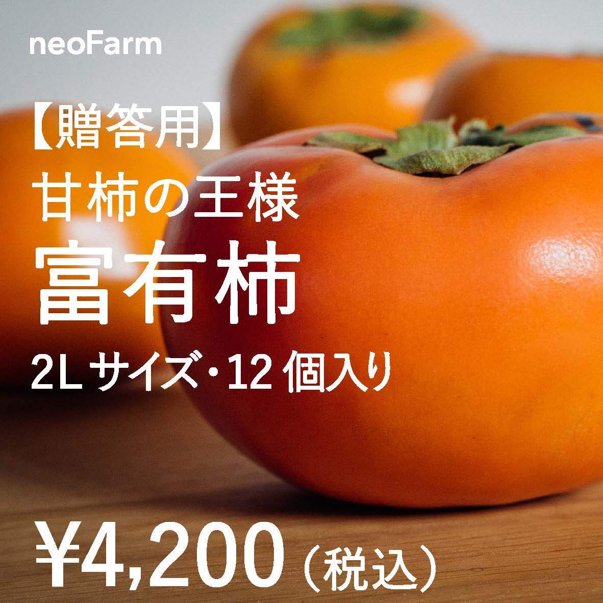 岐阜県大野町産 甘柿の王様 富有柿2l 12個入り Neofarm 富有柿 岐阜県 産地直送
