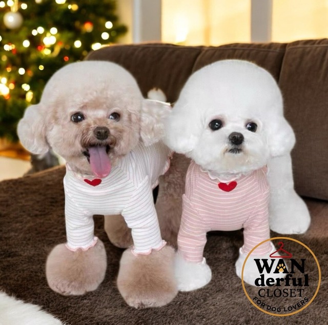 【犬服】ストライプ コットンレイヤー｜小型犬・中型犬用 スタイリッシュ 1144