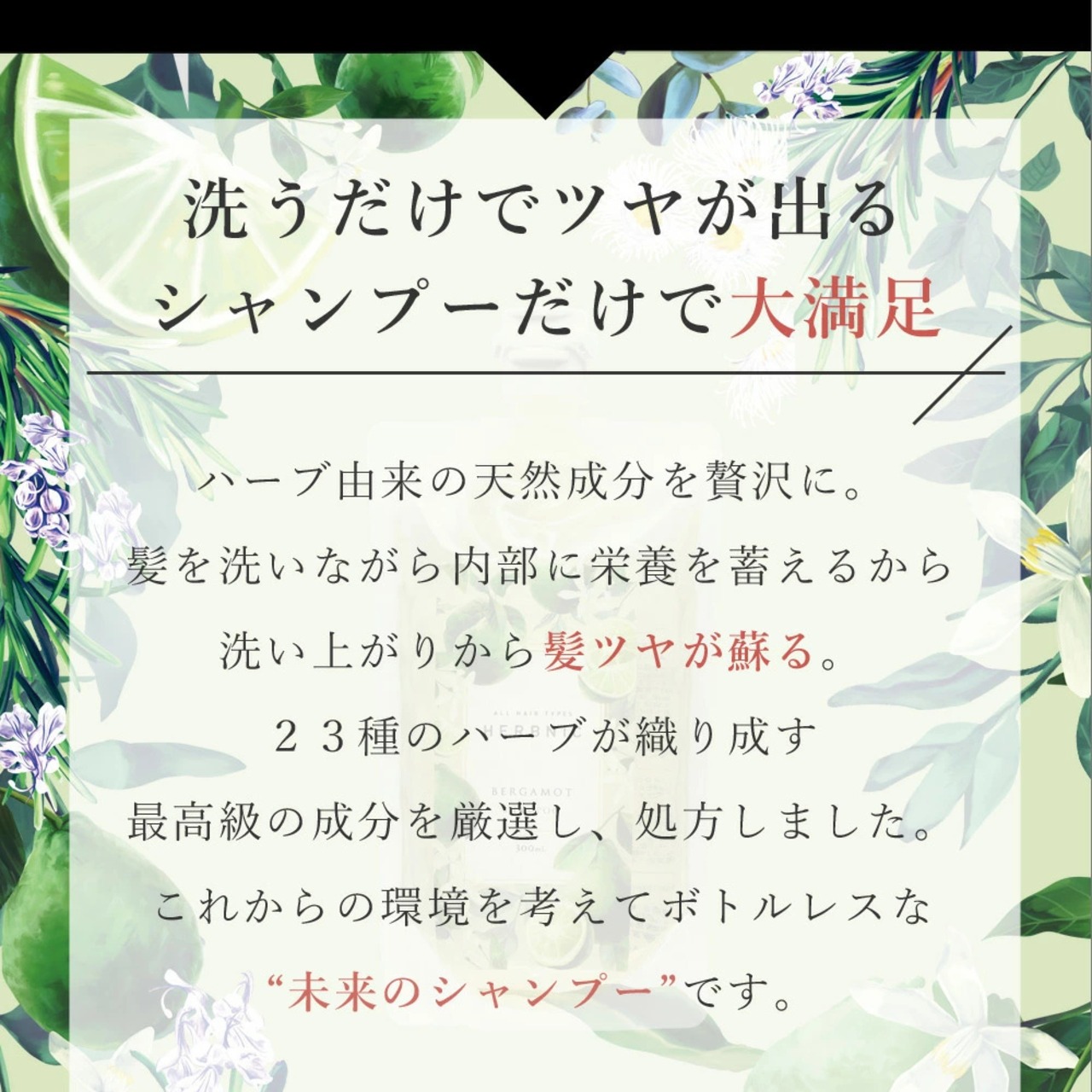 HERBNIC ハーブニック シャンプー&トリートメント　300ml