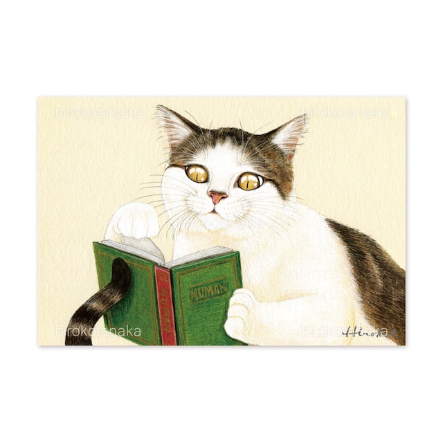 15.ねこの自主学習 ポストカード / The Bookworm Cat Postcard