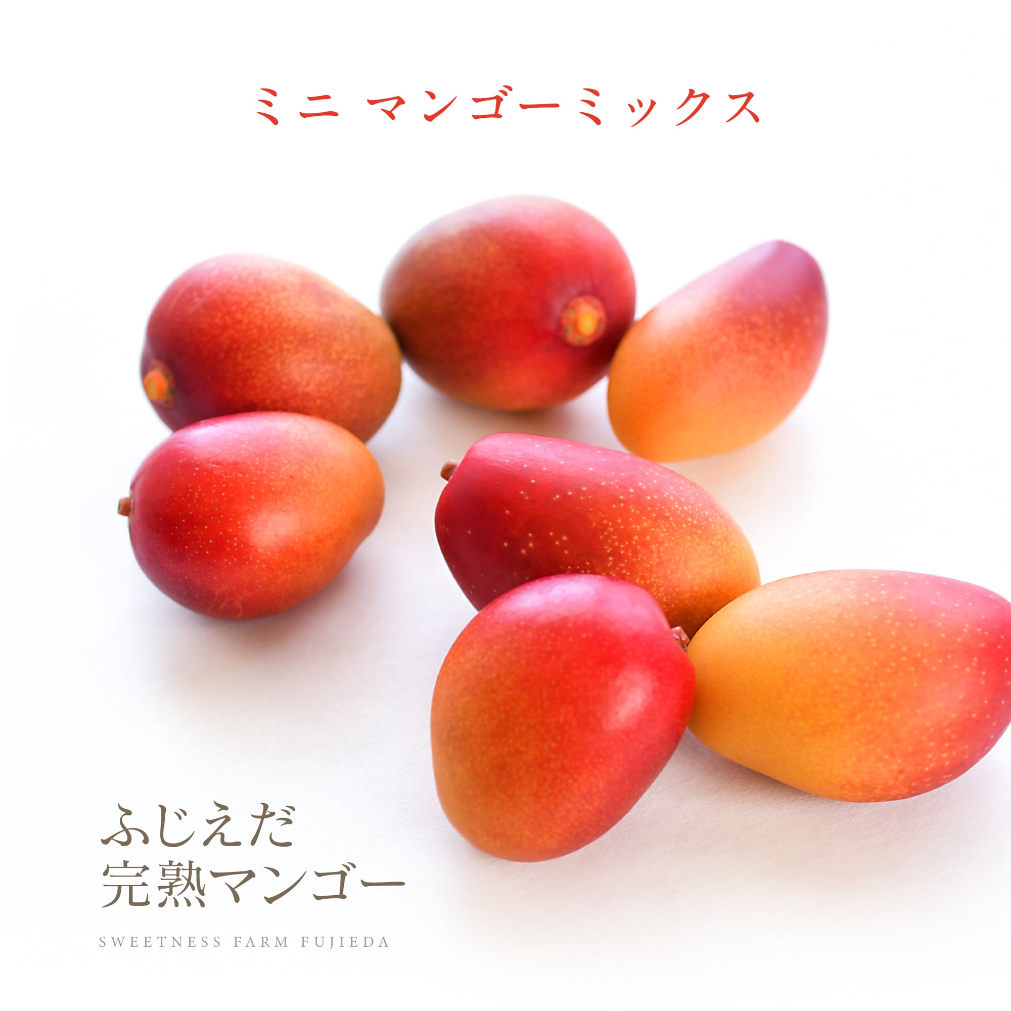 ミニマンゴー】お買い得！アソート品種ミックス1kg | ふじえだ完熟 