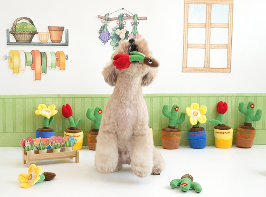 gardening snack toy  / ノーズワーク ペット 犬 おもちゃ 音が鳴る 知育玩具 ノーズワーク おやつ隠し 可愛い わんちゃん ストレス解消 インスタ映え