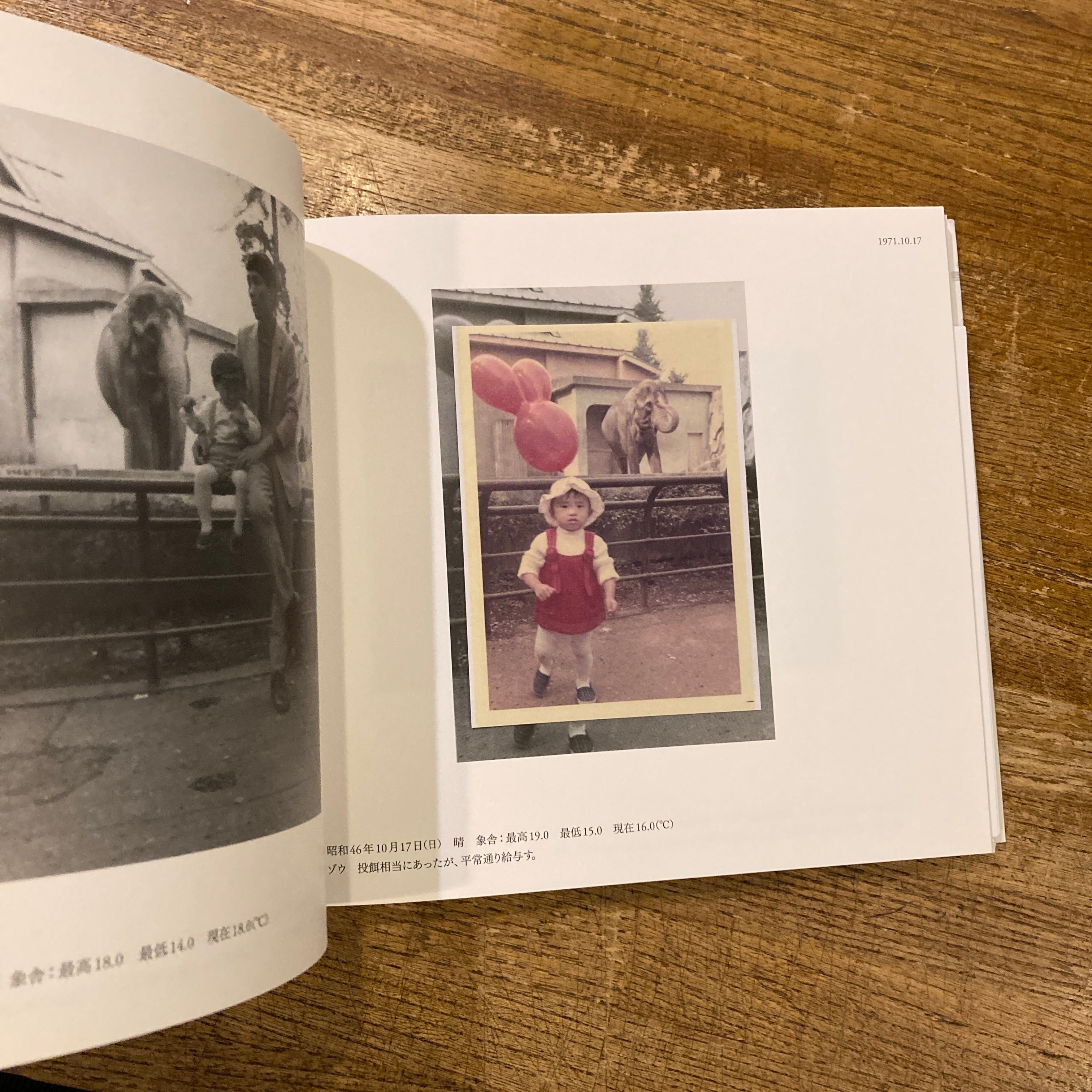 はな子のいる風景 イメージを（ひっ）くりかえす | 百年