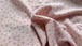 Vネック小花柄ボリューム袖トップス ・12169