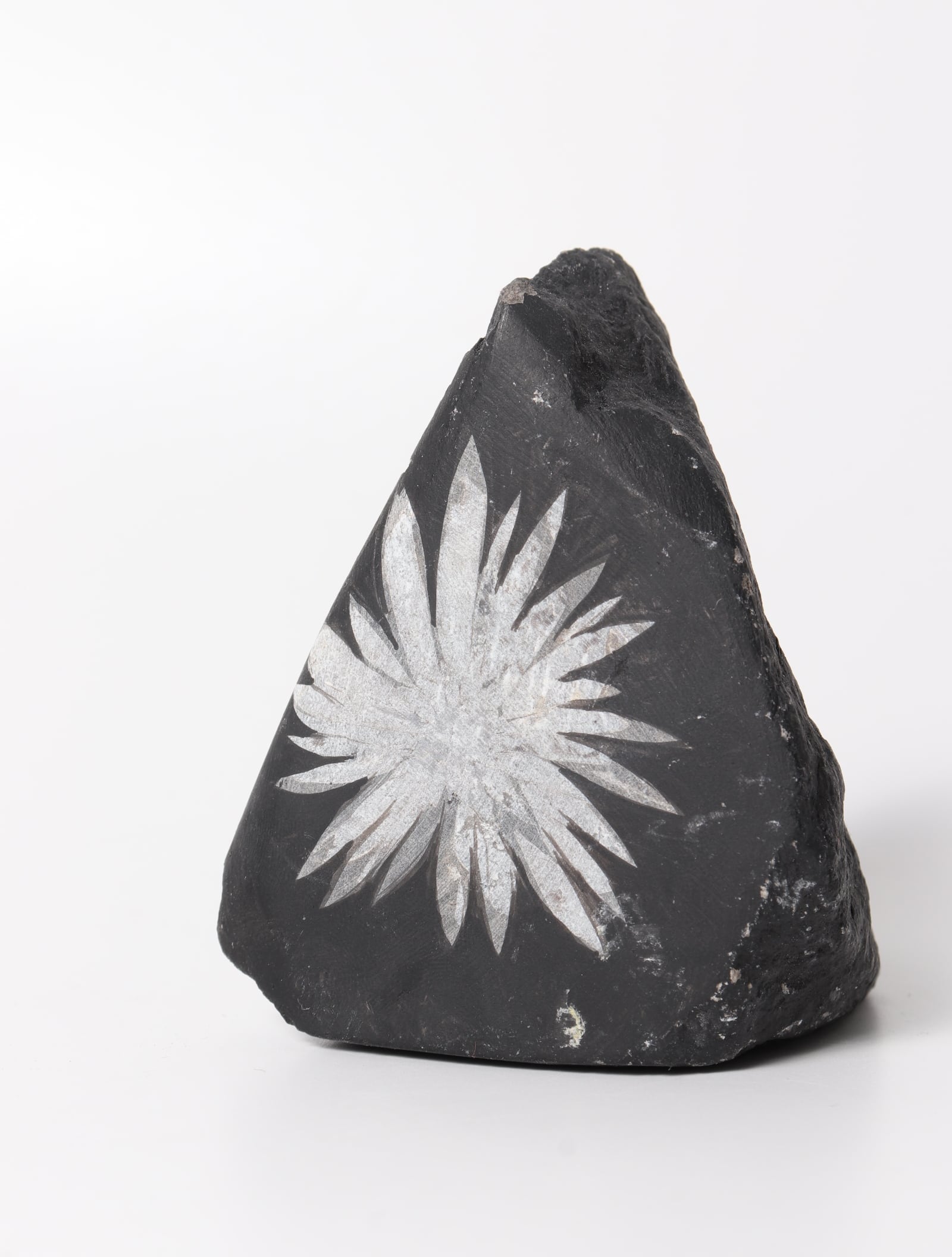 菊花石　chrysanthemum stone CHRYSANTHEMUM STONE FORMED | acenus