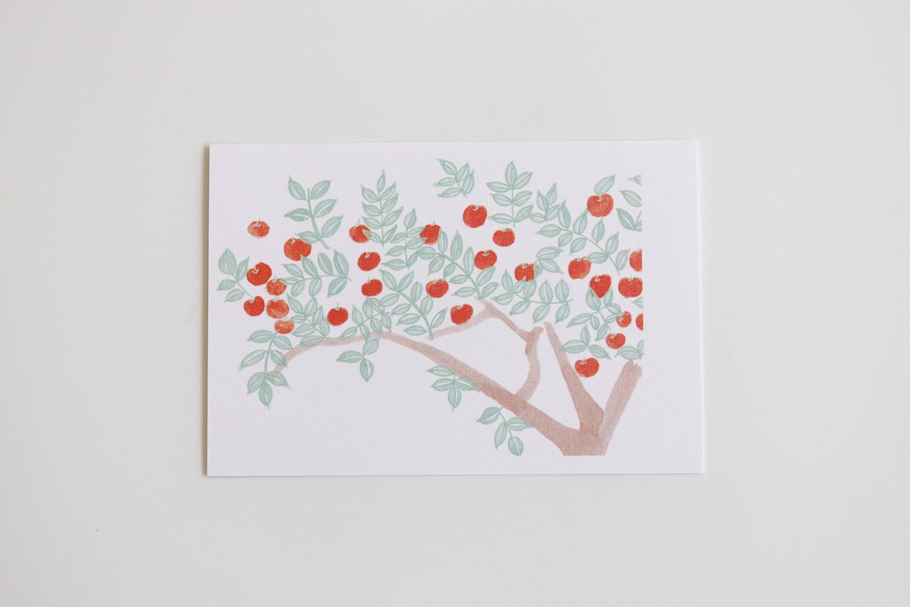 川島枝梨花 「りんごの木/apple tree」ポストカード