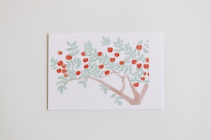 川島枝梨花 「りんごの木/apple tree」ポストカード