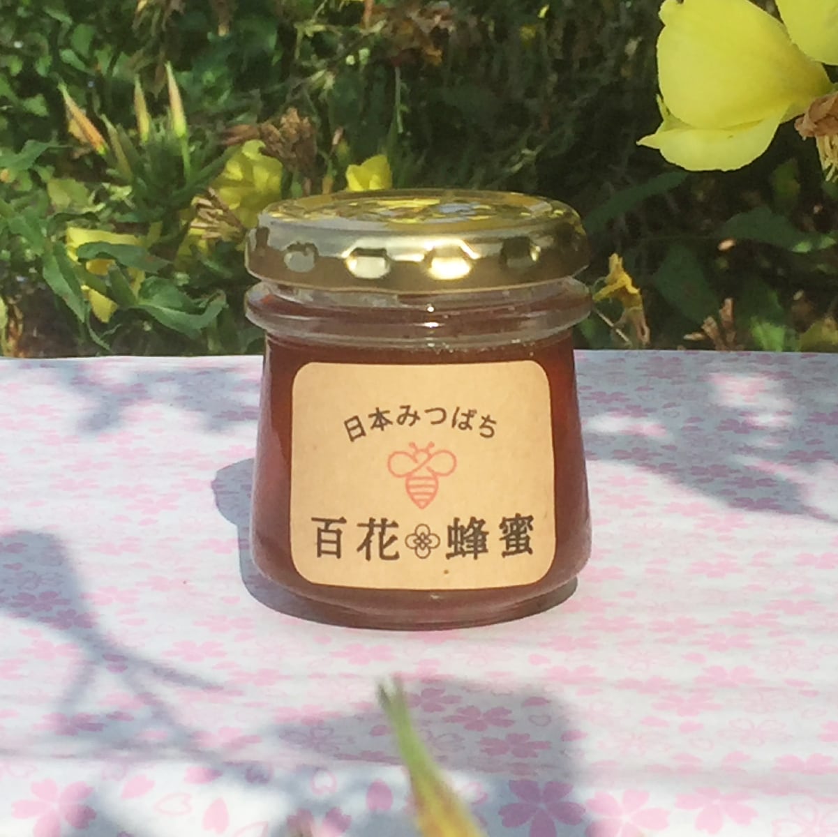 日本蜜蜂　蜂蜜　びわこ比良山麓　1200ｇ 日本蜜蜂蜂蜜びわこ比良山麓1200g