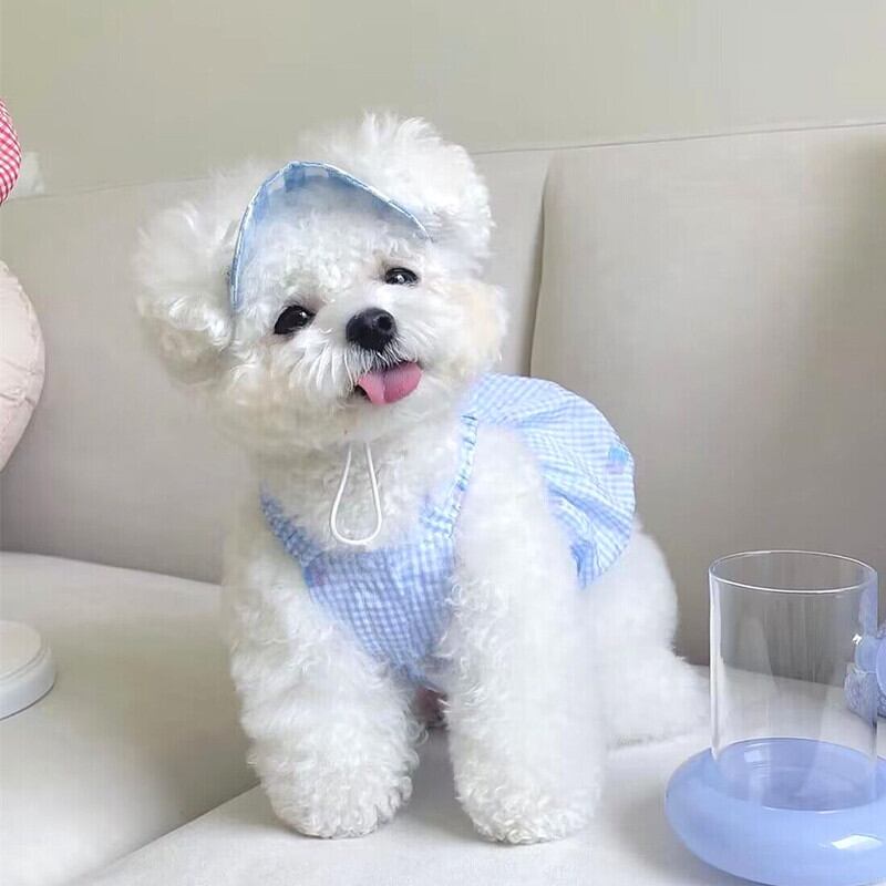 PET】3色展開夏らしく鮮やかなチェック柄切り替えワンピース | Robnice