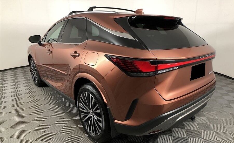Lexus RX Body-Side Molding Kit | Pay ID