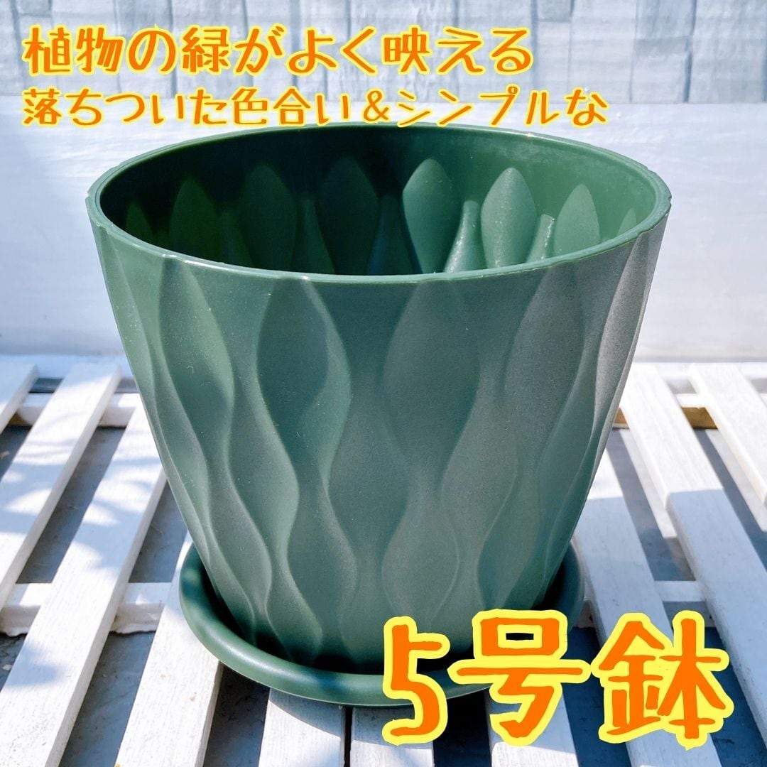 緑色のシンプルな植木鉢 5号サイズ 】 インテリアとしても♫ オシャレ